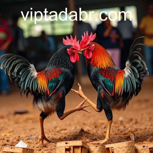 Cockfighting: A Cultural Phenomenon Shrouded in Controversy
